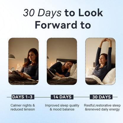 Zocozy® Nightly Zen